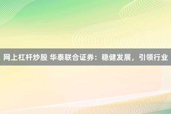 网上杠杆炒股 华泰联合证券：稳健发展，引领行业