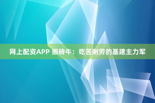 网上配资APP 搬砖牛：吃苦耐劳的基建主力军