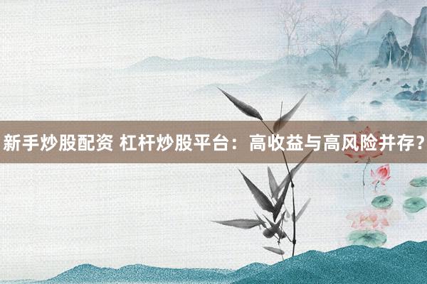 新手炒股配资 杠杆炒股平台：高收益与高风险并存？