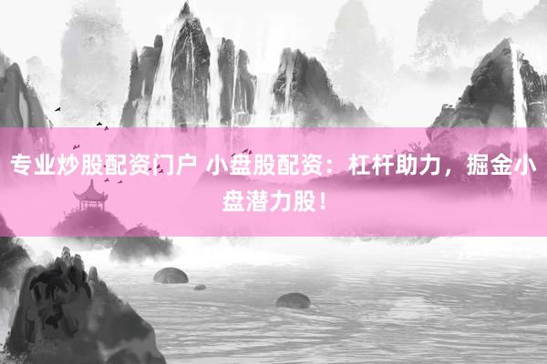 专业炒股配资门户 小盘股配资：杠杆助力，掘金小盘潜力股！