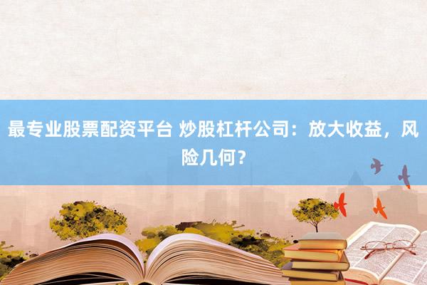 最专业股票配资平台 炒股杠杆公司：放大收益，风险几何？