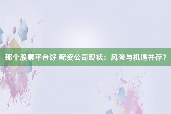 那个股票平台好 配资公司现状：风险与机遇并存？