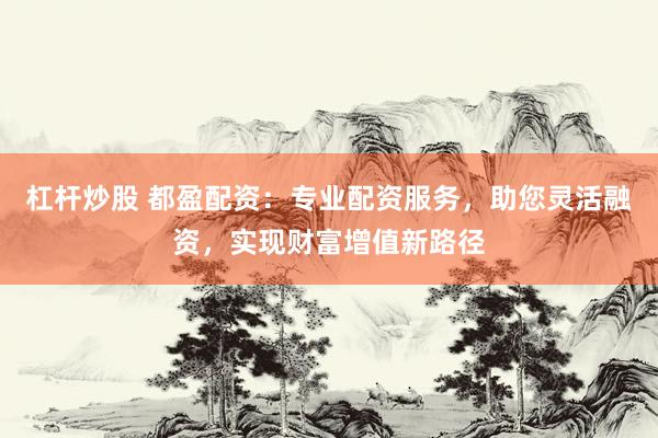 杠杆炒股 都盈配资：专业配资服务，助您灵活融资，实现财富增值新路径