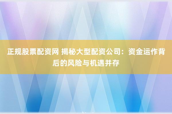 正规股票配资网 揭秘大型配资公司：资金运作背后的风险与机遇并存