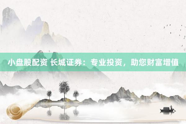 小盘股配资 长城证券：专业投资，助您财富增值