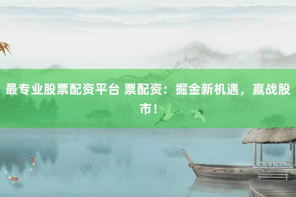 最专业股票配资平台 票配资：掘金新机遇，赢战股市！