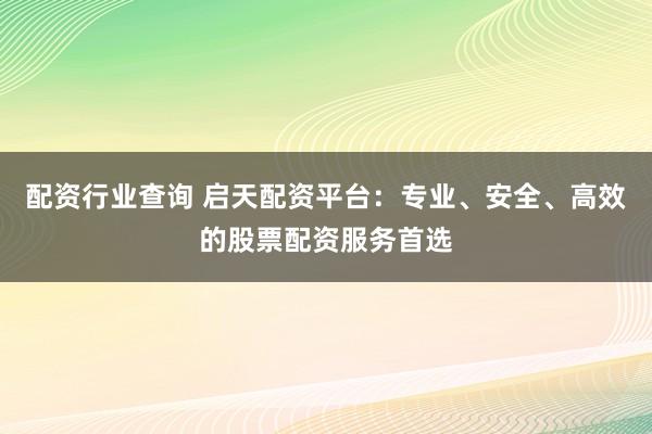 配资行业查询 启天配资平台：专业、安全、高效的股票配资服务首选