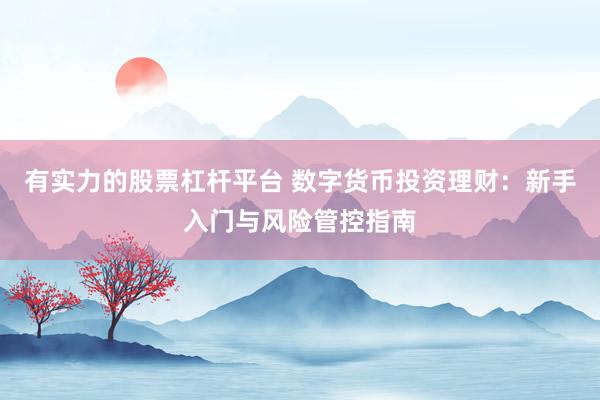 有实力的股票杠杆平台 数字货币投资理财：新手入门与风险管控指南