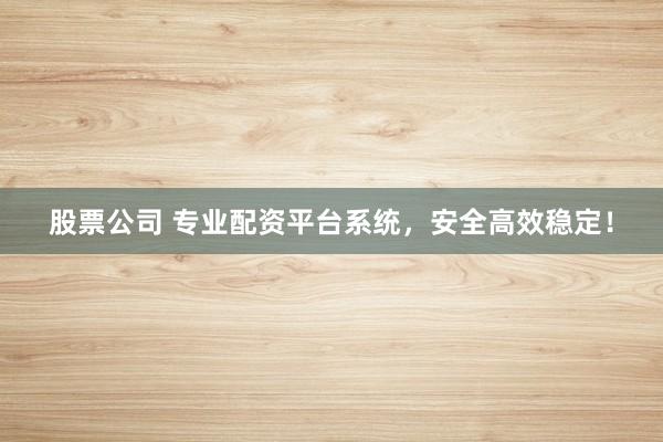 股票公司 专业配资平台系统，安全高效稳定！
