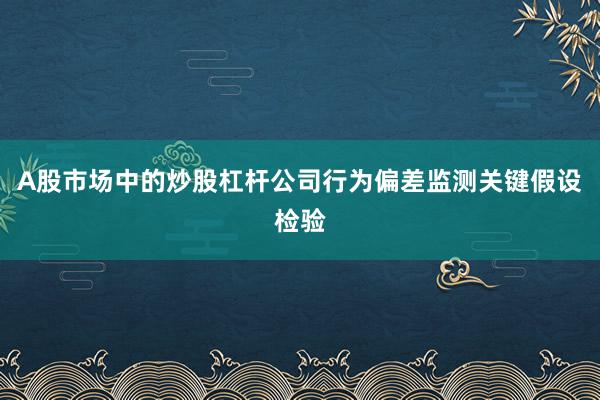 A股市场中的炒股杠杆公司行为偏差监测关键假设检验