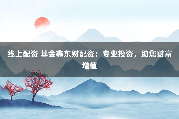 线上配资 基金鑫东财配资：专业投资，助您财富增值